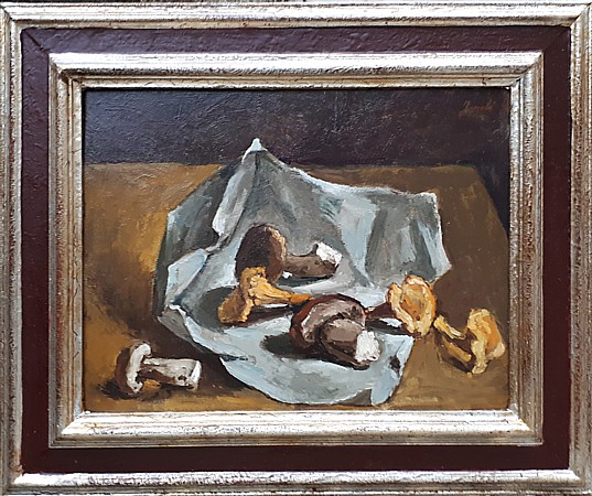 janebe-les-bolets-vignette