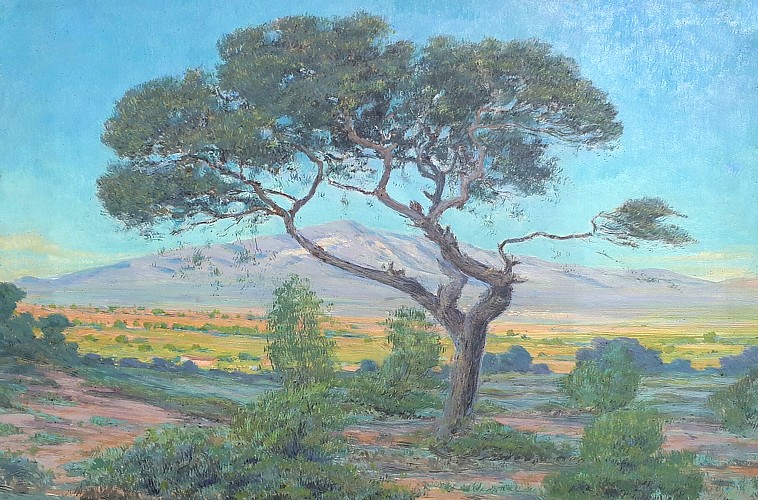 maurice rodieux plaine